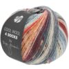 COOL WOOL 4 SOCKS PRINT - LANA GROSSA