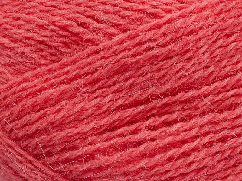 283 - CALYPSO