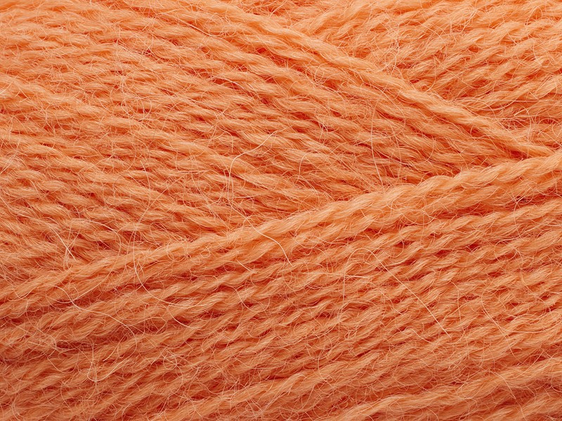 254 - CORAL